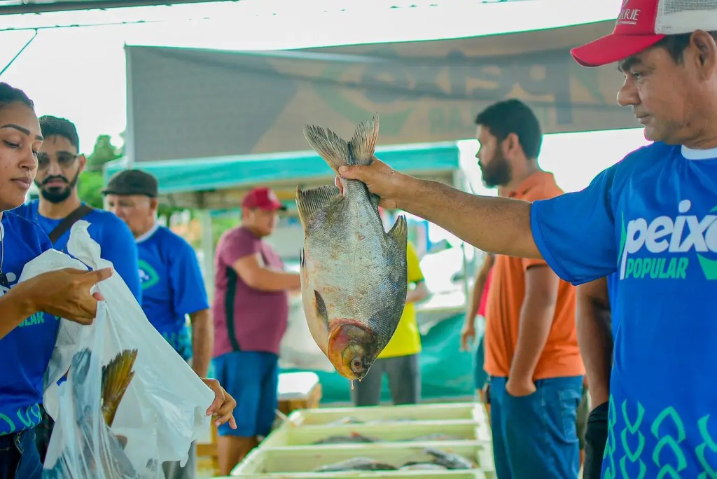 Peixe Popular: Governo do Amapá oferta mais 20 espécies de pescado com preços de R$ 12 a R$ 25 o quilo, em cinco pontos de&nbsp;Macapá